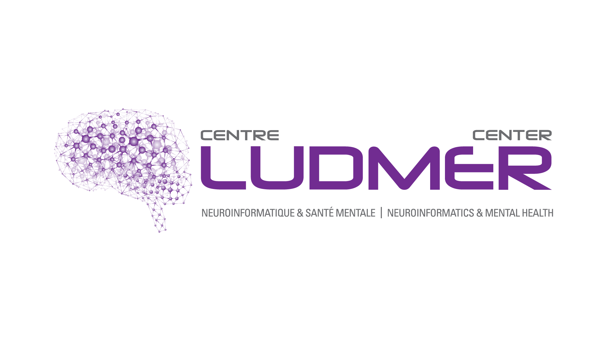 ludmer logo
